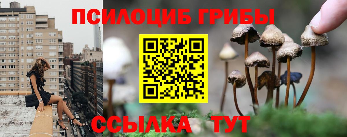 Псилоцибиновые грибы Psilocybine cubensis  Вход с VPN  Гусь-Хрустальный  Галлюциногенные грибы прущие грибы 
